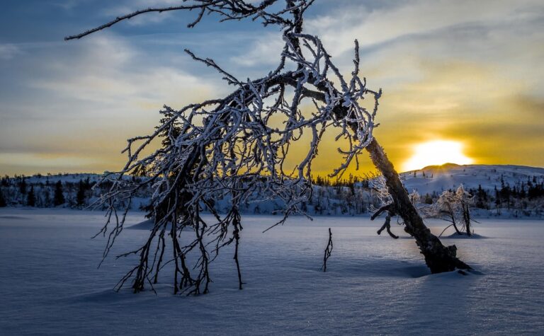 Hindrer solkrem opptak av vitamin D?